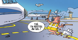 cochon-sur-le-tarmac.jpg