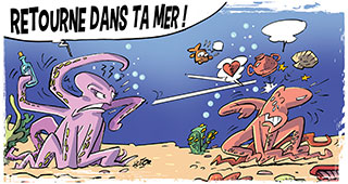 Pieuvre-pas-contente.jpg