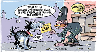 pas-perdu.jpg