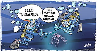 plongeur-meduse.jpg